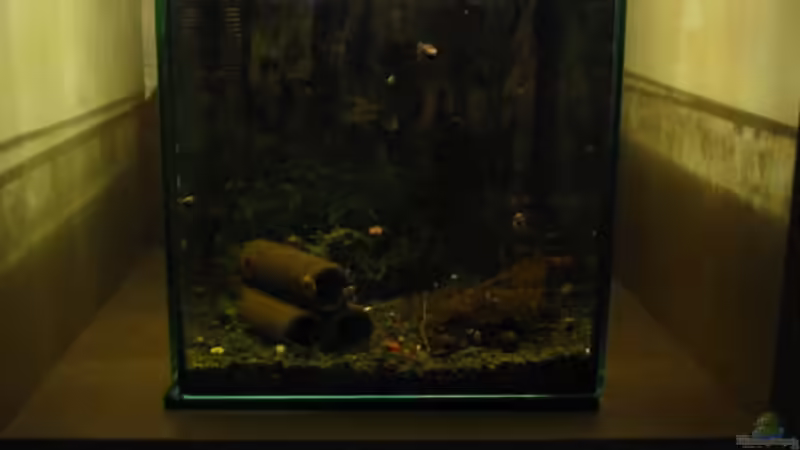 Unten links (Garnelen) von Christina Studt (4)