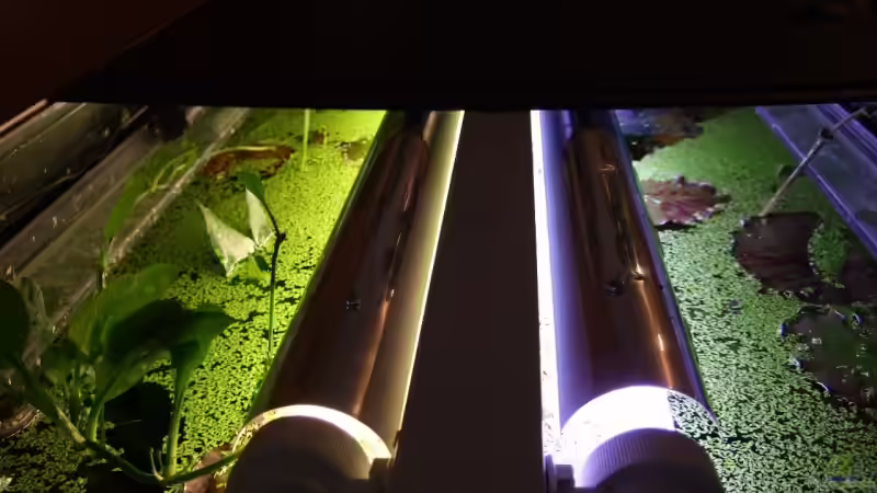 unter der Abdeckung von Udo Müller (11)