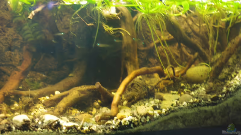 Unter Wasser 01 von gkr123 (15)