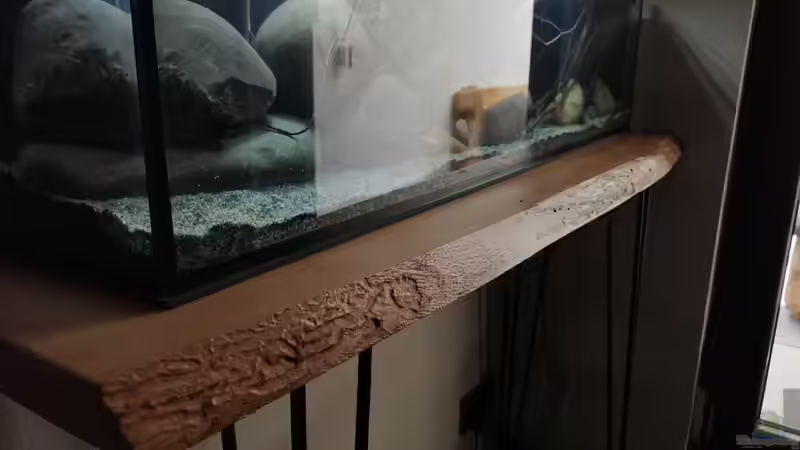 Unterbau aus einer 5cm Buchenbohle und Hairpins von Tim Buktu (3)