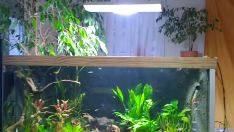 unterbau aus y ton von Michael Bodem (16)