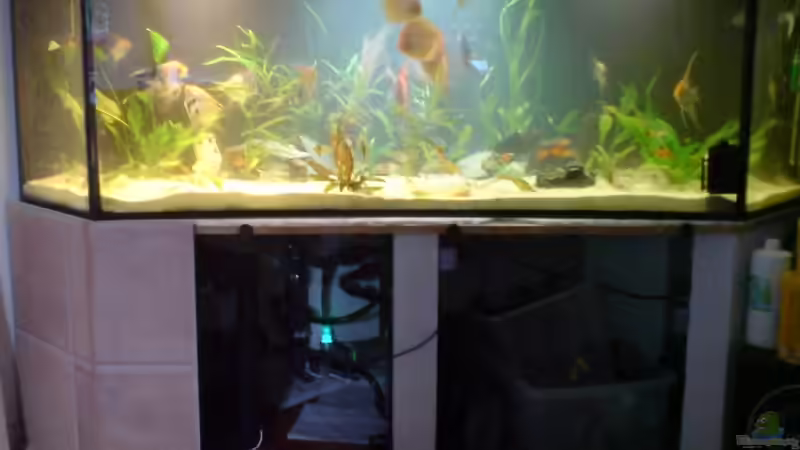 Unterbau mit Kalksandsteine von Michael Seidel (4)