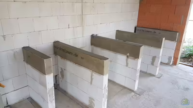 Unterbau von Amazonasbecken.eu (2)