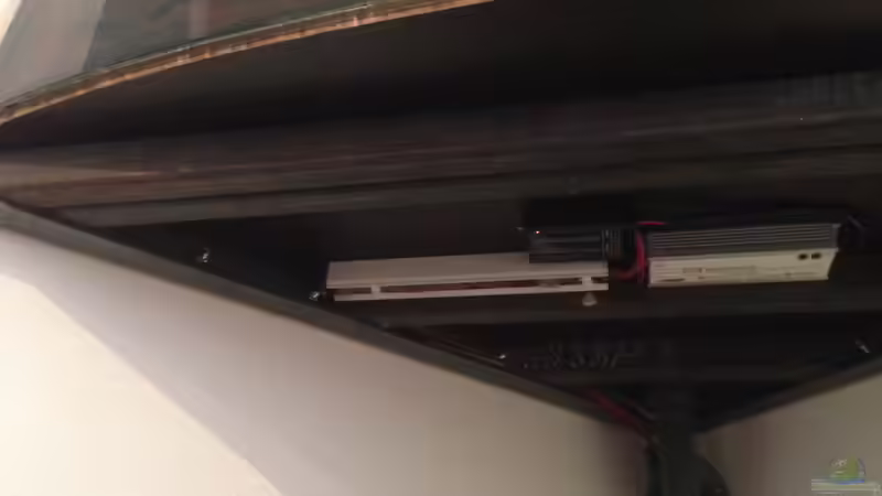 Unterbau von ronnsch (27)