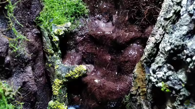 Unterer Teil des Wasserfalls von Stephi (16)