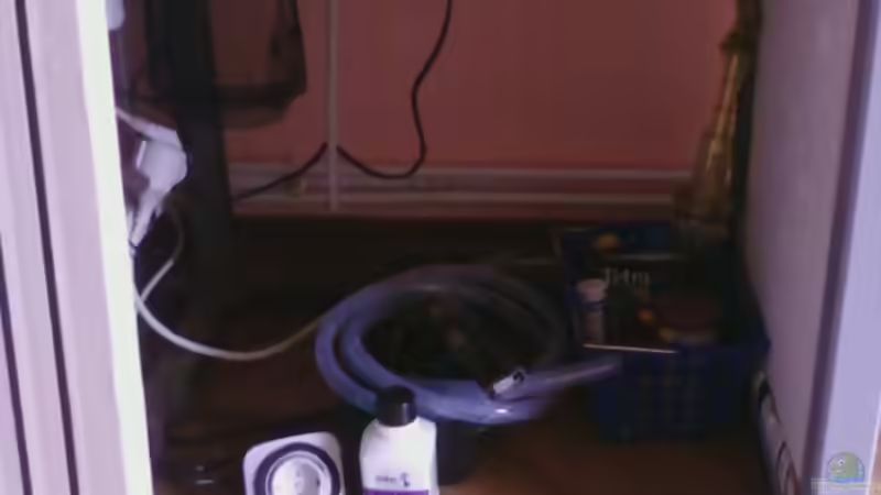 Untergestell von CICHLID (2)