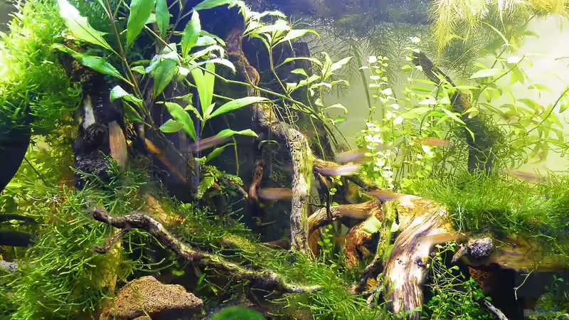 Unterhalb des Wasserfalls - 19.06.2011 von bergfrau (45)