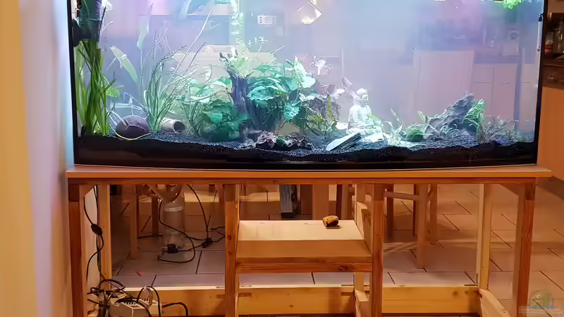 Unterkonstruktion von Manuela&Mike (6)