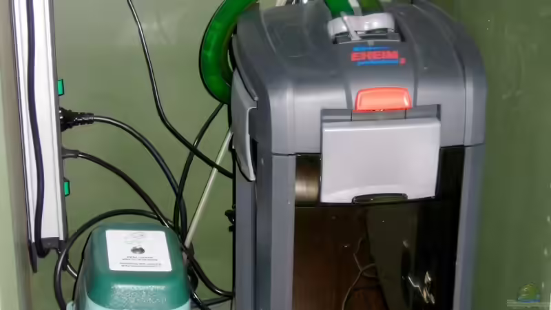 Unterm Becken werkeln die HiBlow und ein Eheim Professionell 3. von Kaffeesatzleser (4)