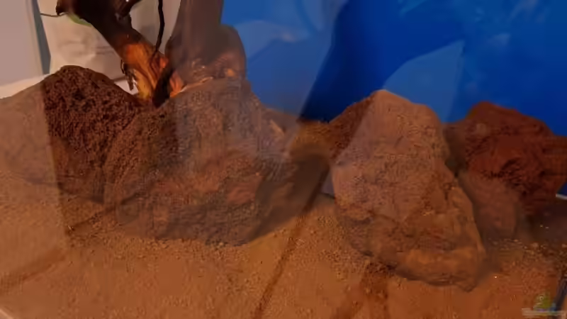 Unterschiedliche Bodensubstrate im Terrarium: Auswahl, Pflege und Einsatzmöglichkeiten