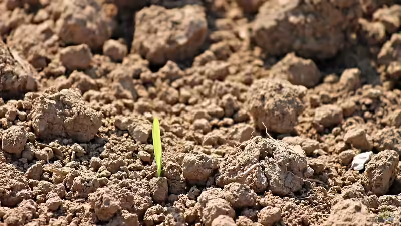 Unterschiedliche Böden: Tipps und Hinweise für Hobbygärtner