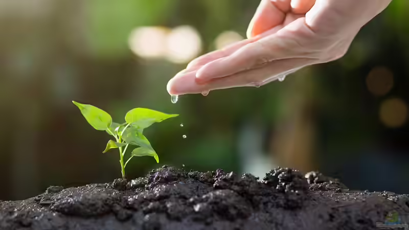 Unterschiedliche Böden: Tipps und Hinweise für Hobbygärtner