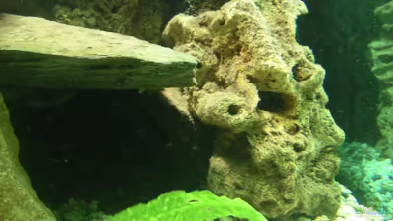 Unterschlupf mit Schiefer und Vulkangestein von Bernd Niehoff (20)