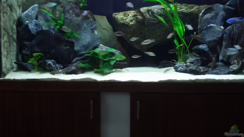 Unterschrank Eigenbau 19mm Spannplatte Mahagoni von Sebastian Pietrzyk (1)