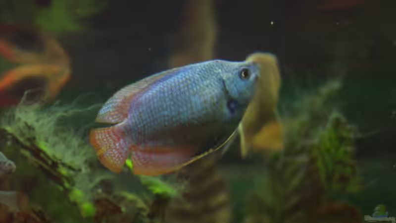 Unterschrank geöffnet von Dietmar Schneider (14)