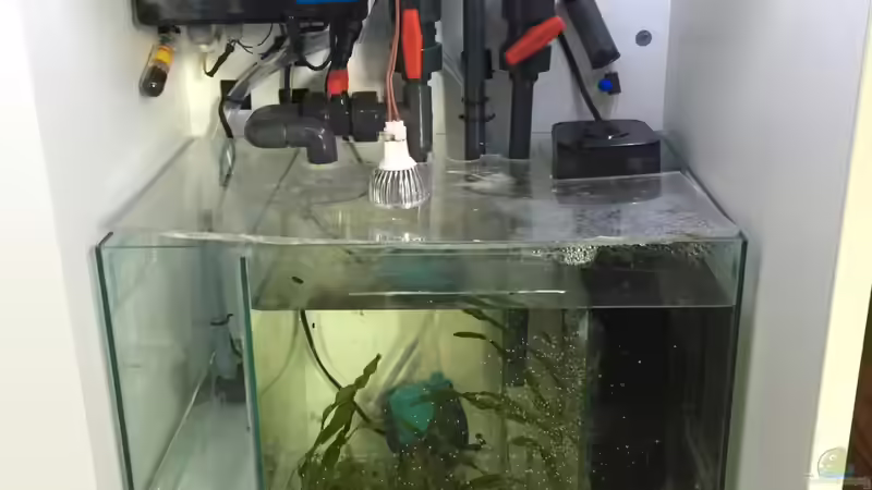 Unterschrank von Cyano-Kanone (6)