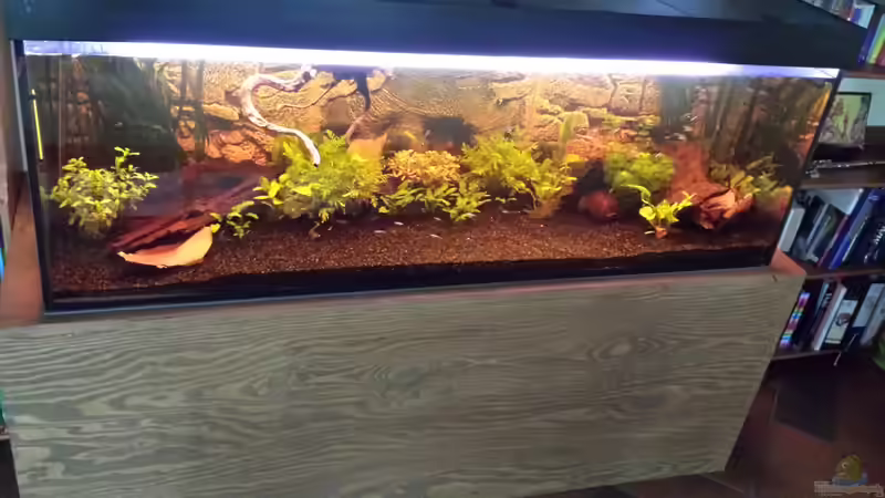 Unterschrank von FK Nordfriesland (2)