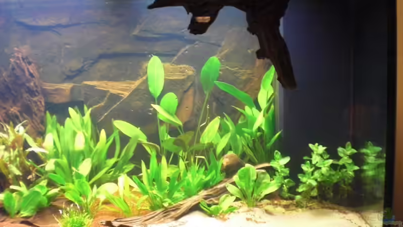 Unterstand von Misterdaddy (16)