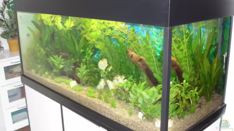 Untrschrank selbst gebaut von Viktor Kraft (2)