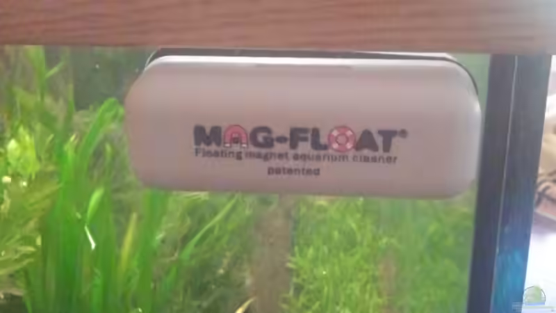 Unverzichtbares Utensil zum reiniges der Aquarienscheiben von Rainbowfan (22)