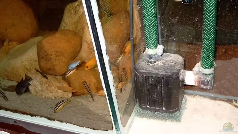 UP 3000 / 45W 3000 l/h von Helgo Jacob (15)