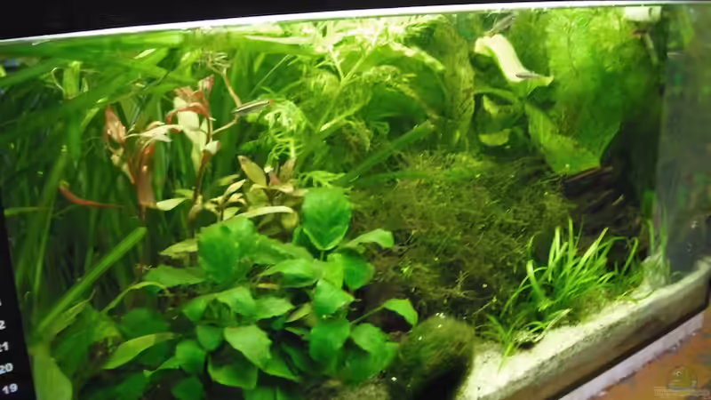 Update - 30.04. von schwefelfell (3)