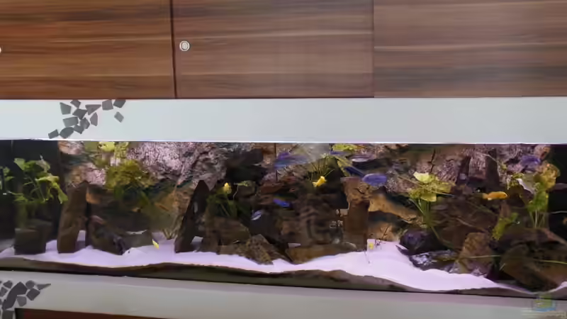 Update: Gesamtansicht April 2013 von Bandito76 (5)