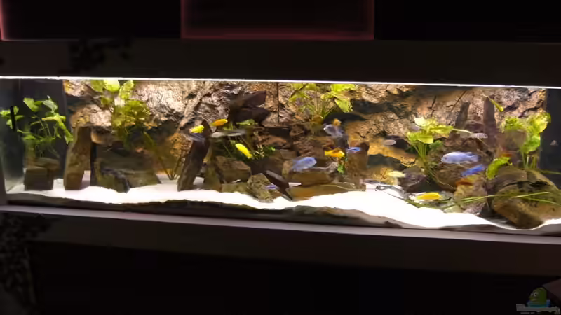 Update: Gesamtansicht April 2013 von Bandito76 (6)