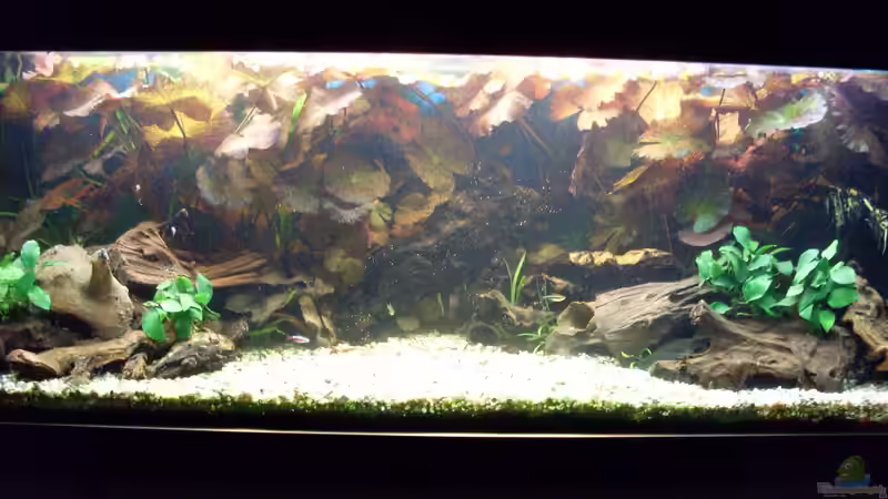 Update: Mai 2010, Vordergrund neu gestaltet von Kleiner_Fisch (2)