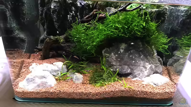 Update 01.05.18 von Der Nicky (13)