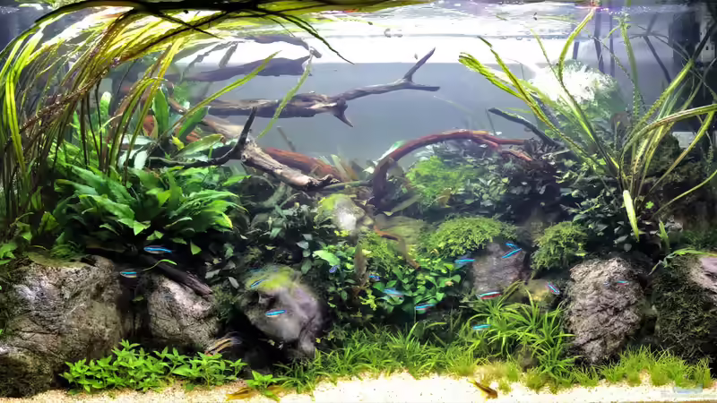 Update 01.08.19 von Der Nicky (9)