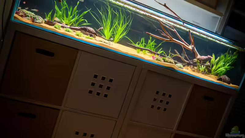 Update 01-2022 von DiskusMummy (4)