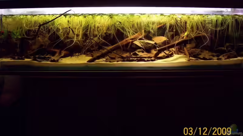 Update 03.12.2009  von Heiko Bischof (1)