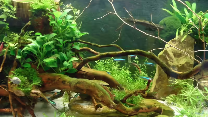 Update 04.07.2014 von Grünhexe (166)