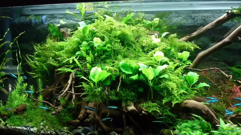 Update 04.12.2014 von Grünhexe (100)