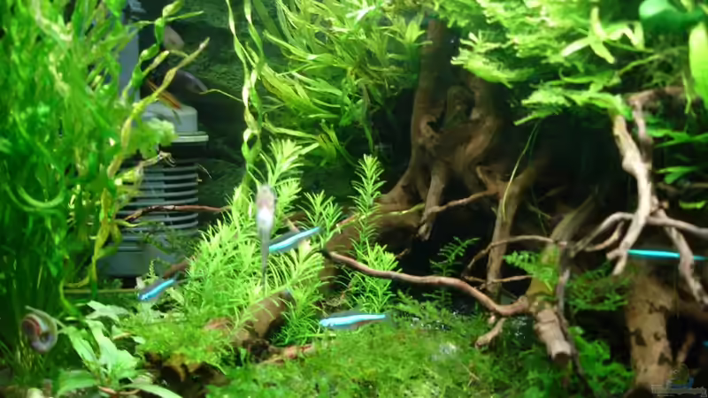 Update 04.12.2014 von Grünhexe (149)