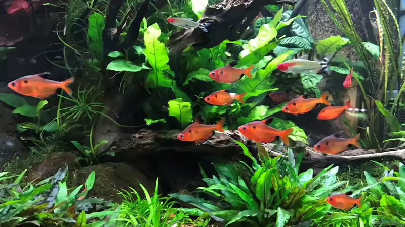 Update 05.06.19 von Der Nicky (40)