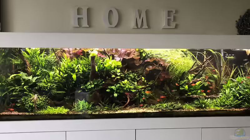 Update 05.06.19 von Der Nicky (41)