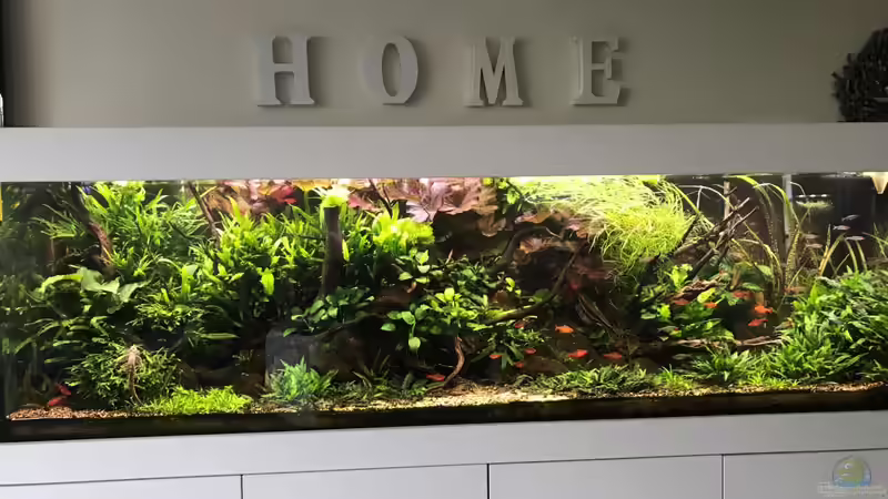 Update 05.06.19 von Der Nicky (47)