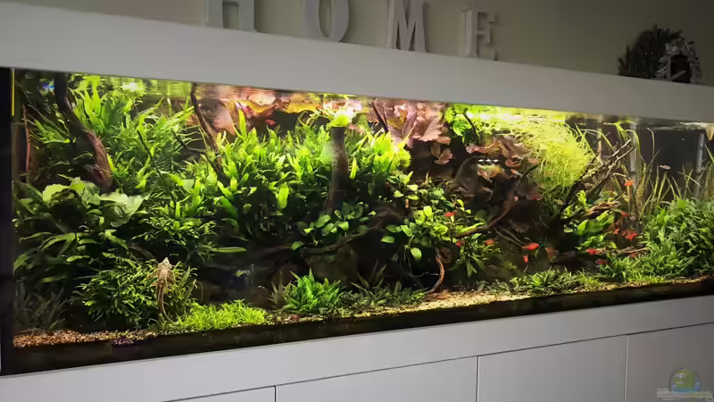 Update 05.06.19 von Der Nicky (53)