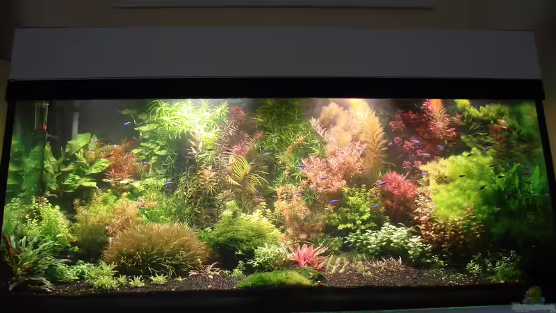 Update 05/2015 von achim-cool (3)