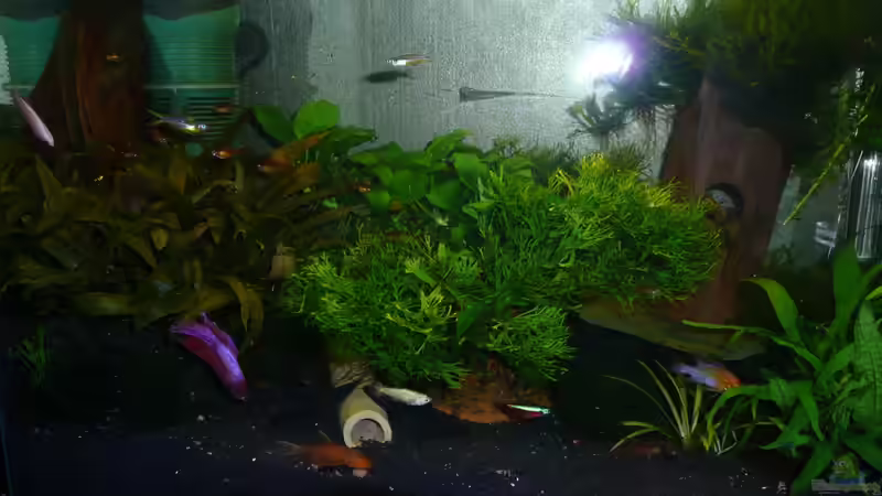 Update 06.10.13 von Aqualady (14)