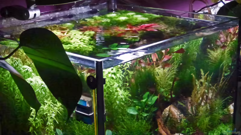 Update 08.01.12 von mike1963 (12)