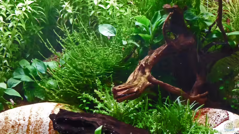 Update 08.01.12 von mike1963 (26)