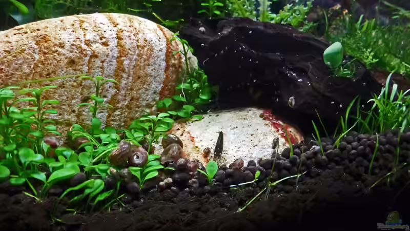 Update 08.01.12 von mike1963 (38)