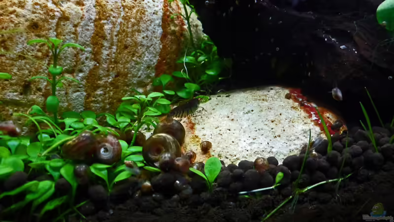 Update 08.01.12 von mike1963 (39)