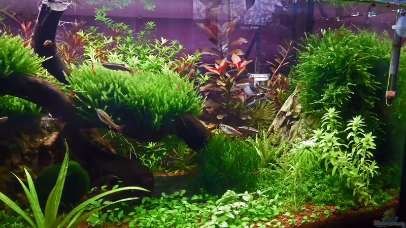 Update 08.01.12 von mike1963 (8)