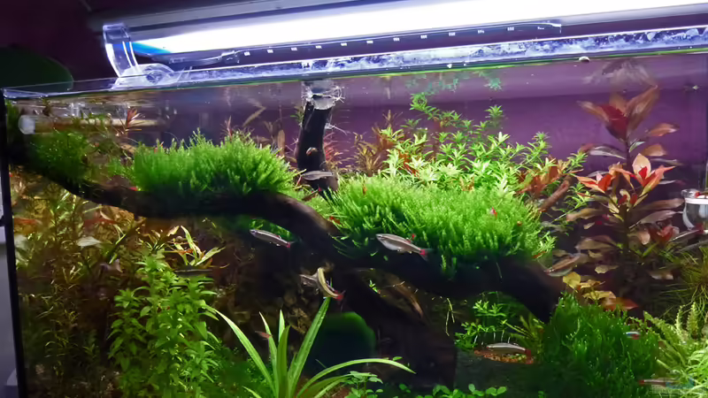 Update 08.01.12 von mike1963 (9)