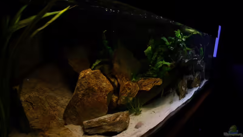 Update 08.03.2010 von Tobias Seiffert (14)