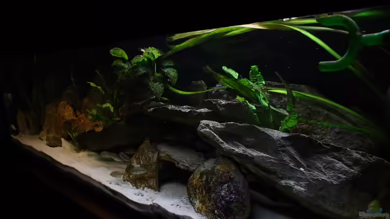 Update 08.03.2010 von Tobias Seiffert (15)